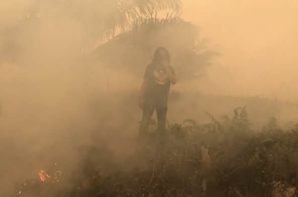 Feux déclenchés dans le village de Puding, district de Muaro Jambi, Sumatra, septembre 2019