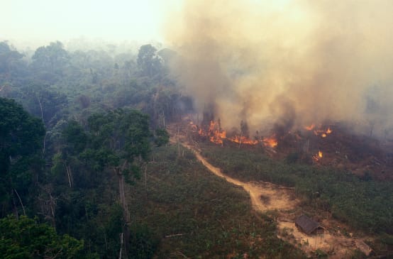Feu en Amazonie