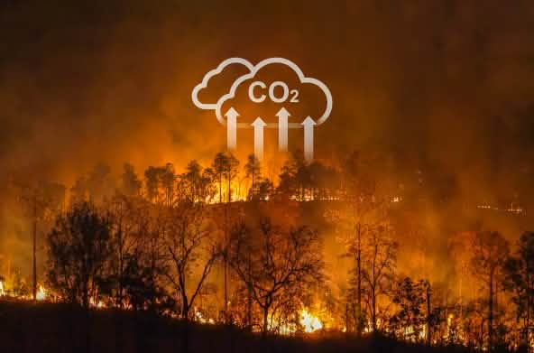 Les incendies de forêt et la culture sur brûlis contribuent à la crise climatique mondiale