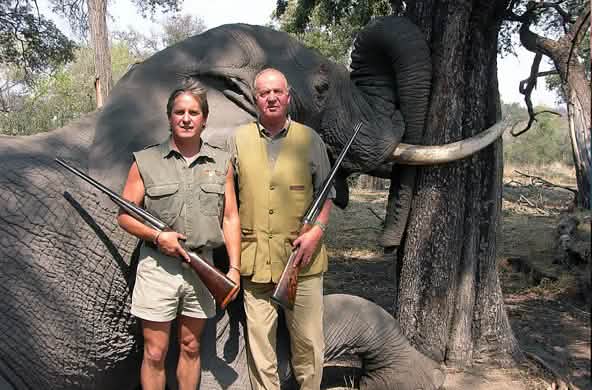 Le monarque espagnol et ancien président d’honneur du WWF Juan Carlos pose avec un fusil devant l’éléphant qu’il vient d’abattre au Botswana