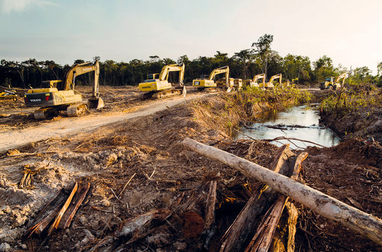 Des pelleteuses en file indienne pénètrent dans la forêt tropicale