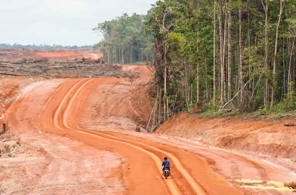 Une grande surface défrichée jouxte la forêt tropicale