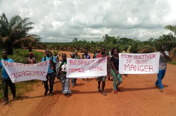 Manifestations contre l’entreprise d’huile de palme Socfin au Cameroun