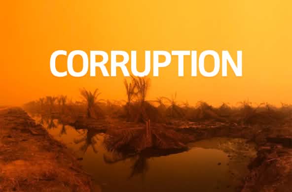 Incendies à Sumatra + texte CORRUPTION