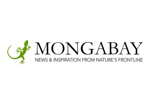 Logo Mongabay