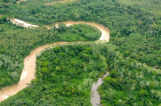 Vue aérienne d’un fleuve serpentant la forêt en Amazonie péruvienne