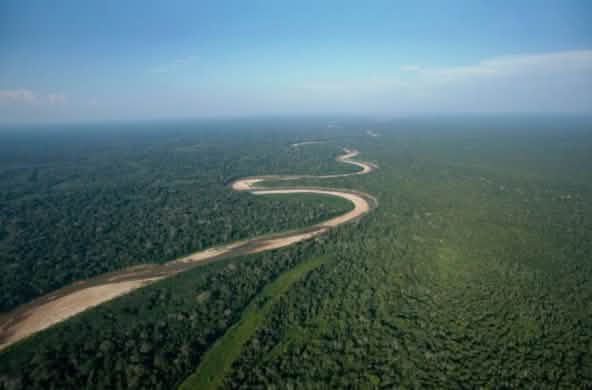 Photos aériennes d’un fleuve, qui serpente à travers la forêt tropicale restée intacte dans les plaines de Bolivie