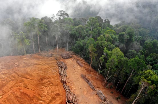 Vue aérienne d’une zone déboisée dans la forêt tropicale
