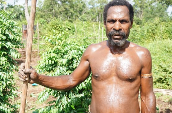 Un Papou du clan Gebze (Merauke), en conflit avec le papetier coréen Moorim