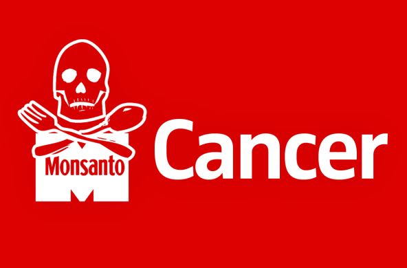 Monsanto Cancer