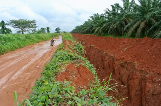 Tranchée autour de la plantation de palmiers à huile de l’entreprise Okomu Oil Palm Company (OOPC) au Nigeria