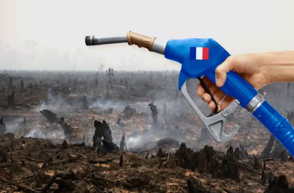 Photomontage : une pompe à essence aux couleurs de la France avant en arrière plan une forêt tropicale venant d'être incendiée pour la culture d'huile de palme