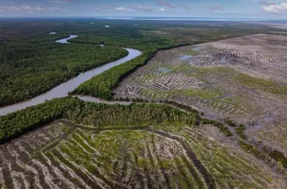 Vue aérienne de la forêt sur la rive gauche du fleuve et des terres déboisées sur la rive droite