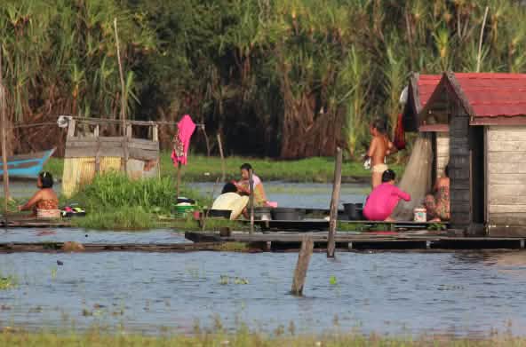 La vie sur les rives du lac Sembuluh – des femmes lavent du linge, accroupies sur des passerelles