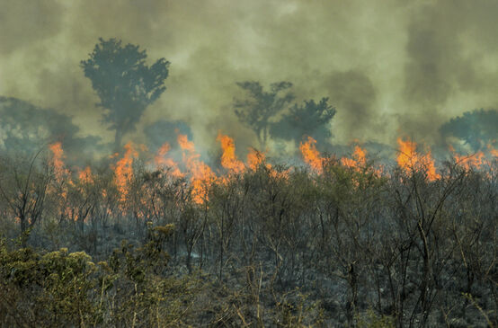 Incendie de forêt en Amazonie brésilienne