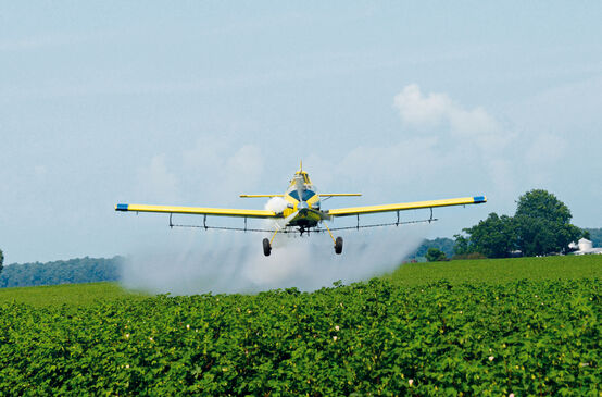 Un avion pulvérise des pesticides sur un champ de soja