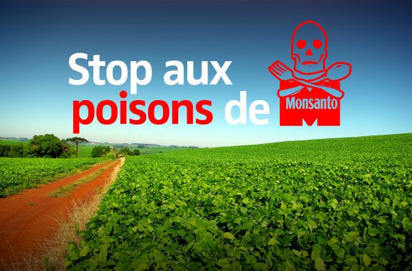 Vue sur un champ de soja transgénique barré par le texte « Stop aux poisons de MONSANTO »