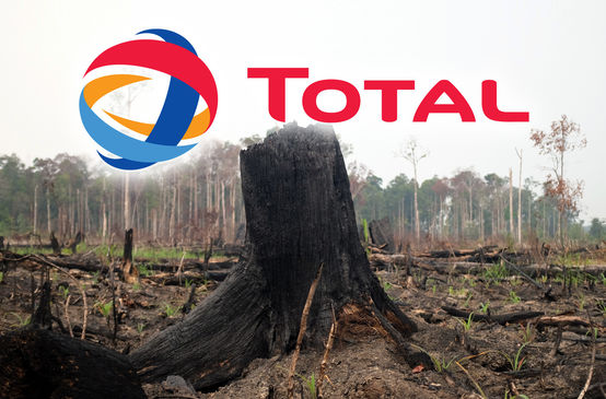Forêt tropicale dévastée pour la culture d'huile de palme à Sumatra