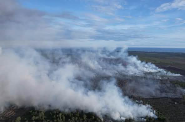 Fumée provenant d’un incendie de tourbière