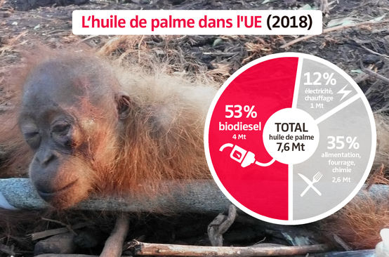 Photomontage - Diagramme de la consommation d’huile de palme dans l’Union européenne (UE) en 2018
