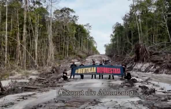 Des activistes protestent au milieu d’une route de bûcheronnage. Ils brandissent une bannière sur laquelle est écrit « Halte à la déforestation ! » en indonésien.