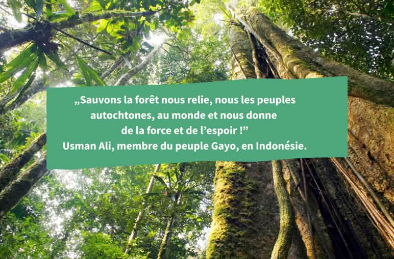 Collage avec une citation de Usman Ali (Gayo)