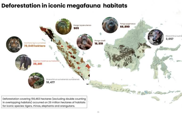 Carte de Sumatra et de Bornéo indiquant les zones de déforestation