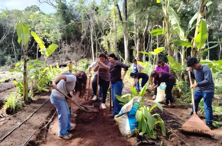 Un groupe de personnes prépare le sol dans la forêt tropicale en vue de planter des arbres fruitiers