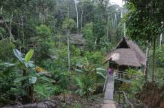 La végétation tropicale laisse apercevoir un petit hameau