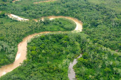 Vue aérienne d’un fleuve serpentant la forêt en Amazonie péruvienne