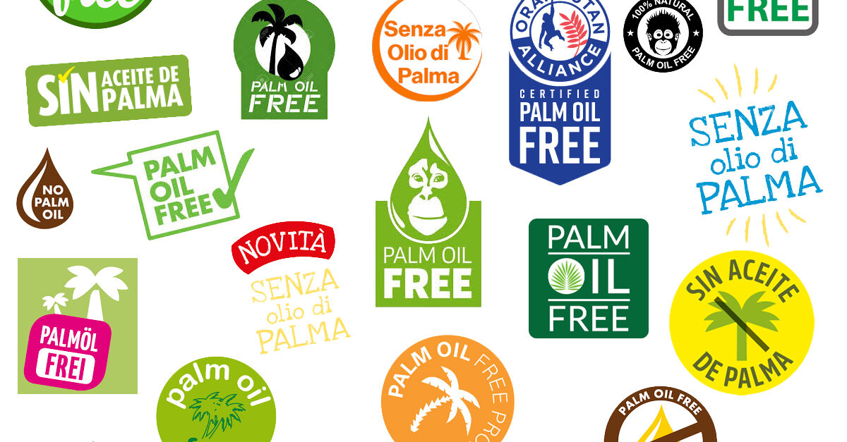 Huile de palme : marché durable pour tous