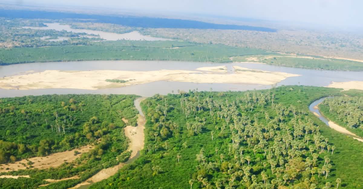 Tanzanie Sauvez La Reserve De Selous Mme La Presidente Sauvons La Foret