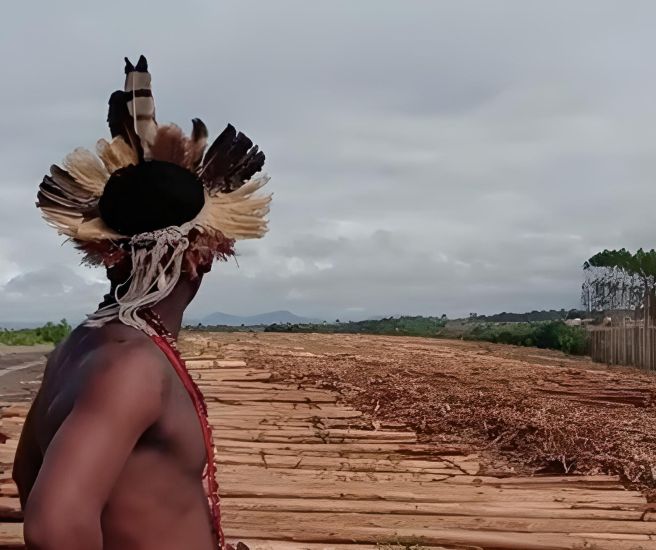 Indigène dans une plantation d’eucalyptus au Brésil