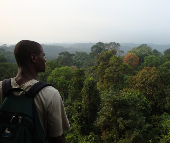 Un homme de dos observe le panorama offert par une forêt tropicale au sud du parc national de Korup (Cameroun)
