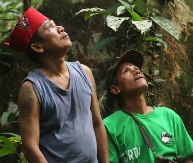 Des autochtones Dayak Tomun dans la forêt de Kinipan