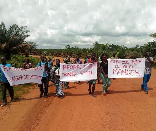 Des manifestations contre Socfin ont également lieu dans de nombreux villages entre le Cameroun et la Sierra Leone (© Synaparcam) Manifestations contre l’entreprise d’huile de palme Socfin au Cameroun