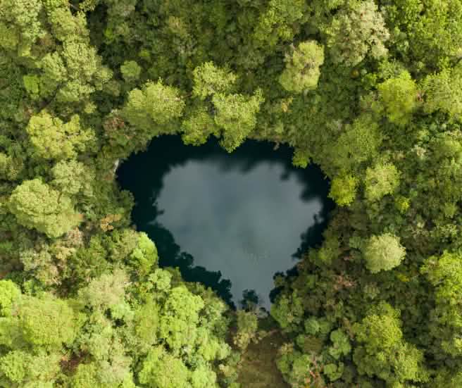 Vue aérienne d’un petit cénote en forme de cœur aux eaux sombres, entouré d’une forêt dense et verdoyante