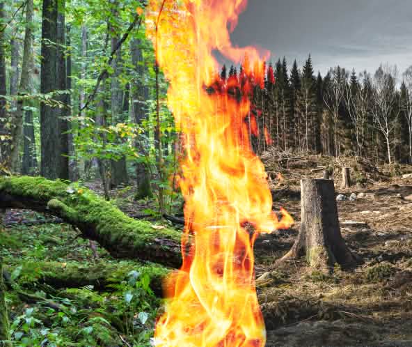 Photomontage Bioenergie