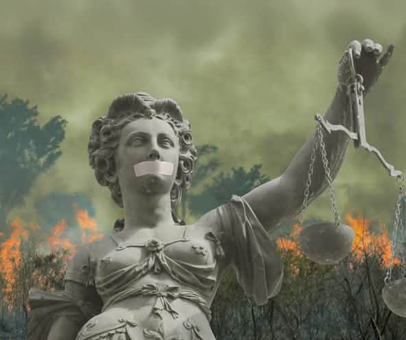 Photomontage : Justitia devant la forêt tropicale en flammes