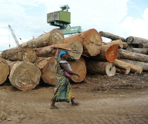Tas de grumes dans le port de Kinshasa