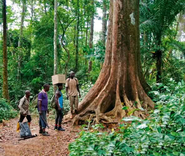 Éco-gardes dans la forêt de Cross River au Nigeria