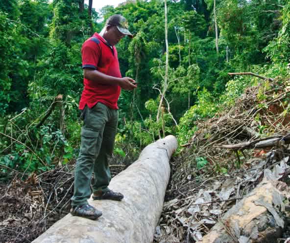 Les protestations des Ekuri ont un résonnance dans le monde entier