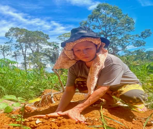 Une femme est accroupie par terre et plante un jeune arbre
