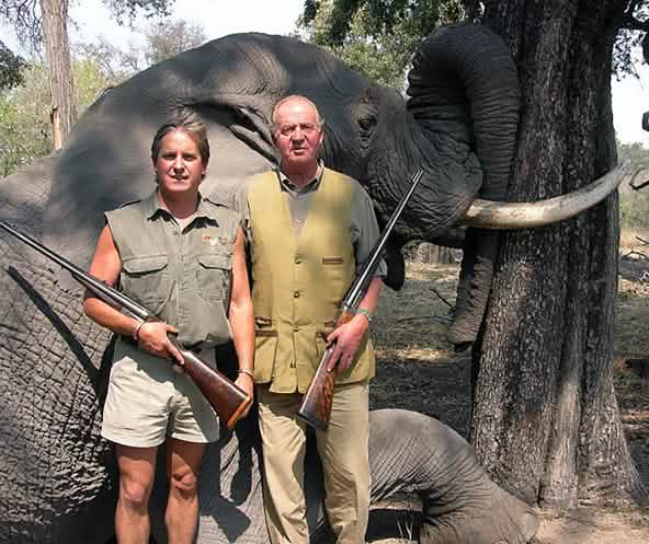 Le monarque espagnol et ancien président d’honneur du WWF Juan Carlos pose avec un fusil devant l’éléphant qu’il vient d’abattre au Botswana