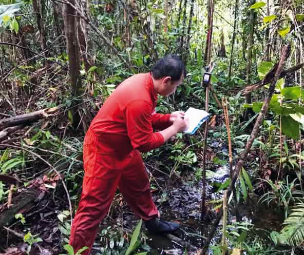 Matek fait des relevés dans la forêt à l’aide de son GPS pour cartographier le territoire des Iban