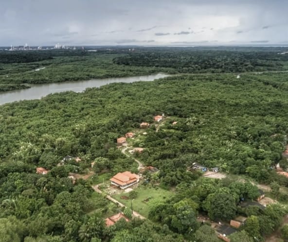 Vue aérienne de maisons entourées d’arbres qui jouxtent une rivière bordée d’une forêt de mangroves