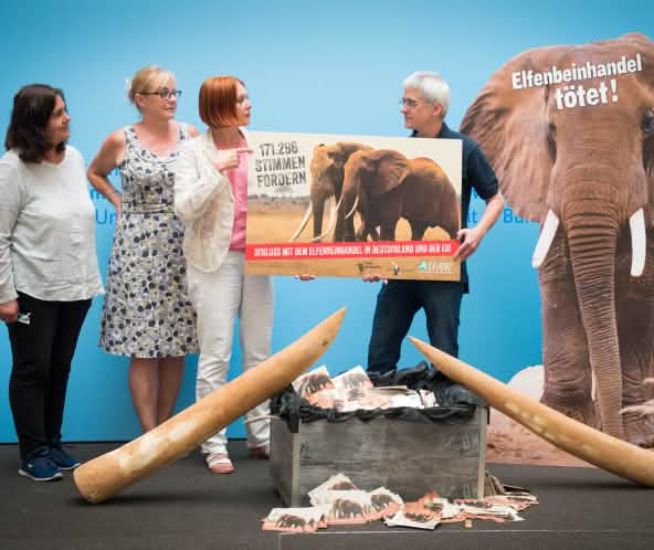 Remise de la pétition contre le commerce de l’ivoire au ministère de l’environnement de la République fédérale d’Allemagne