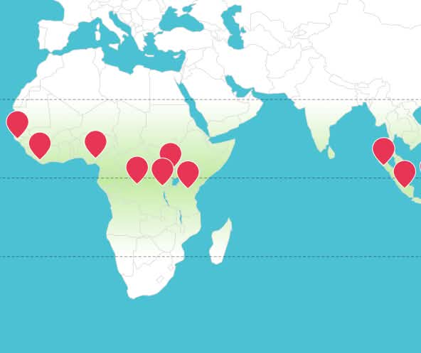 Carte du monde avec les projets partenaires de Sauvons la forêt