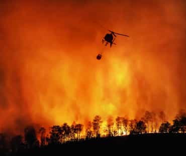 Feu de forêt