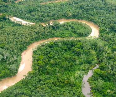 Vue aérienne d’un fleuve serpentant la forêt en Amazonie péruvienne